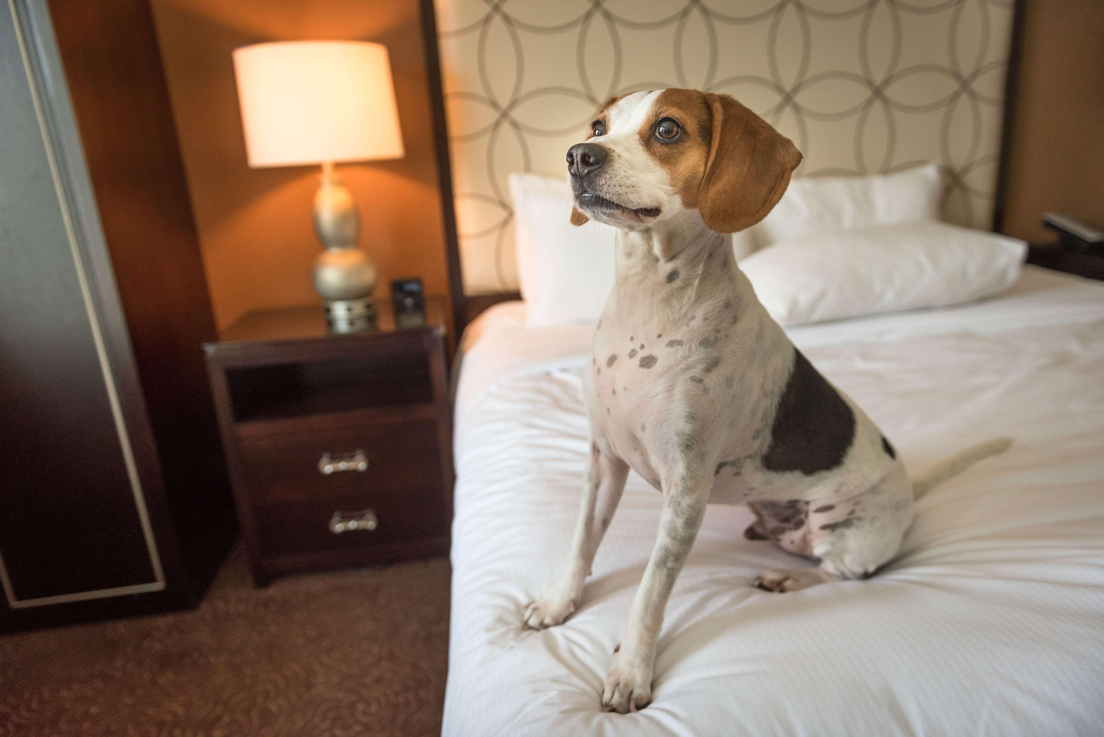 Hilton Baton Rouge Capitol Center Hotel Luaran gambar